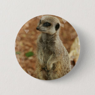 Baby Meerkat Round Button