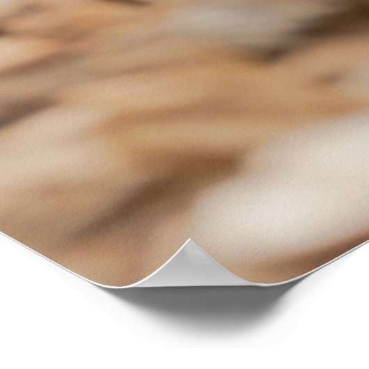 Baby Meerkat's kostbare pose Poster (Hoek)