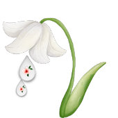 Baby Meisje 1sr Verjaardag Flat Kaart