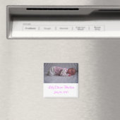 Baby Meisje Geboorte Aankondiging Magneten (Insitu (Vaatwasser))