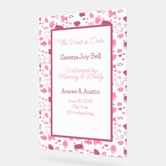 Baby Meisje Welkomstbord Acryl Bord (Hoek)