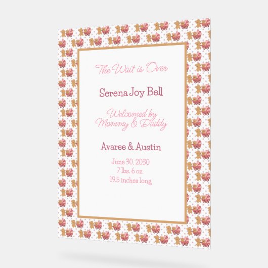 Baby Meisje Welkomstbord Acryl Bord (Hoek)