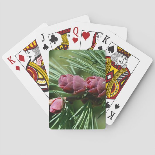 Baby Miniatuur Pine Cones Natuur Pokerkaarten (Achterkant)