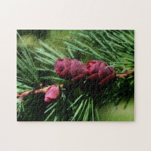 Baby Miniatuur Pine Cones Orton Effect Legpuzzel (Horizontaal)