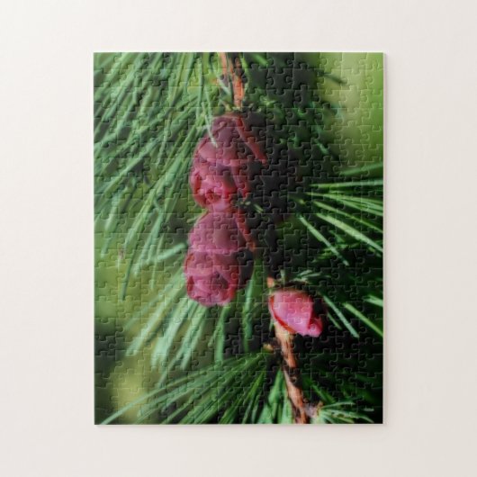 Baby Miniatuur Pine Cones Orton Effect Legpuzzel (Verticaal)