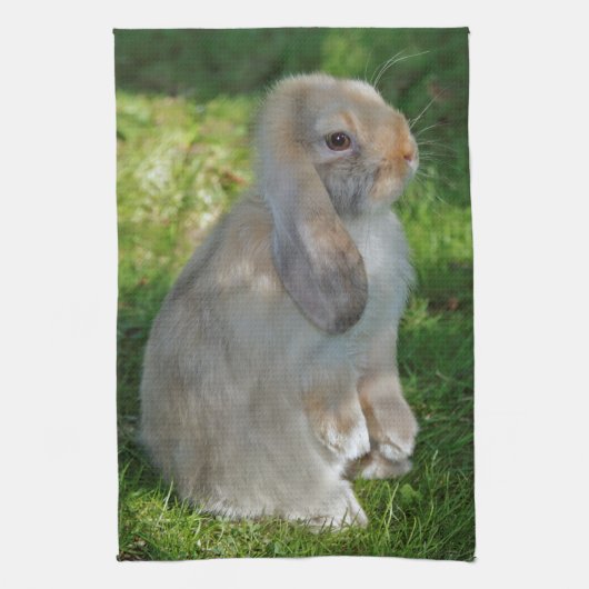 Baby Minilop Rabbit Kitchen Towel Theedoek (Verticaal)