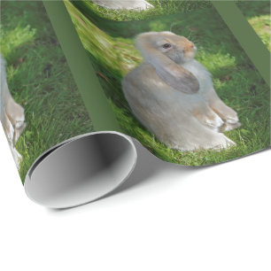 Baby Minilop Rabbit Wrapping Paper Cadeaupapier