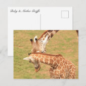 Baby & Moeder Giraffe #3 Briefkaart (Voorkant / Achterkant)