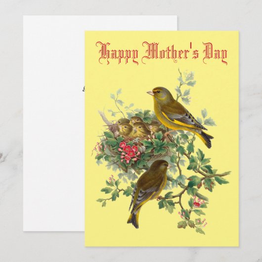  Baby Moederdag nestvogels Feestdagenkaart (Voorkant / Achterkant)