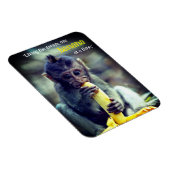 Baby Monkey eet banaan Magneet (Rechterzijde)