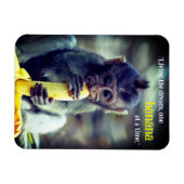 Baby Monkey eet banaan Magneet (Horizontaal)