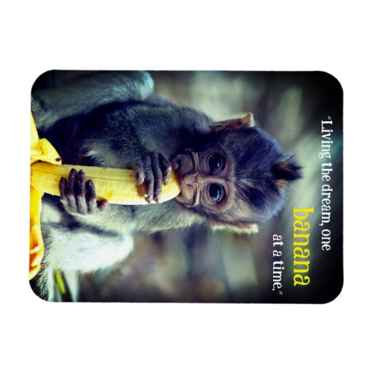 Baby Monkey eet banaan Magneet (Horizontaal)