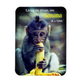 Baby Monkey eet banaan Magneet (Verticaal)