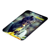 Baby Monkey eet banaan Magneet (Linkerzijde)