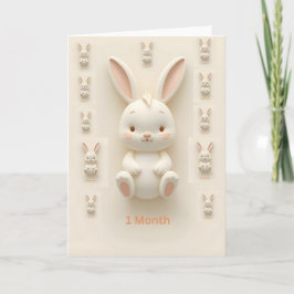 Baby Monthly Milestone Cards Kaart