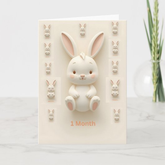 Baby Monthly Milestone Cards Kaart (Voorkant)