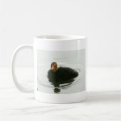 Baby Moorhens Koffiemok (Links)