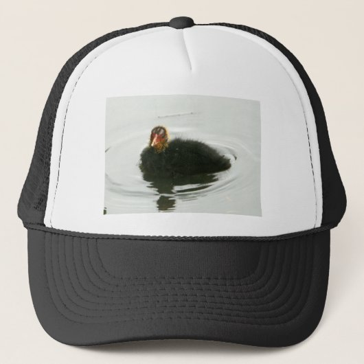 Baby Moorhens Trucker Pet (Voorkant)