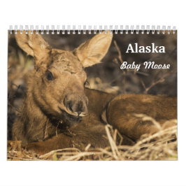 Baby Moose Kalender