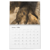 Baby Moose Kalender (Jan 2026)