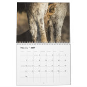 Baby Moose Kalender (Feb 2027)
