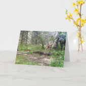 Baby mosis birthday card kaart (Gele Bloem)