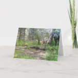 Baby mosis birthday card kaart<br><div class="desc">Spring scene of cow moose and baby in woods.</div>