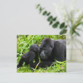Baby Mountain Gorilla Kisses Silverback Gorilla Briefkaart (Staand voorkant)