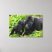 Baby Mountain Gorilla Kisses Silverback Gorilla Canvas Afdruk (Voorkant)