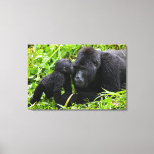 Baby Mountain Gorilla Kisses Silverback Gorilla Canvas Afdruk