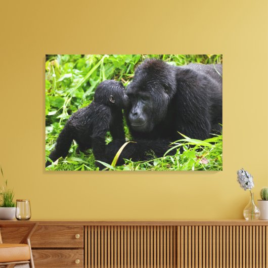 Baby Mountain Gorilla Kisses Silverback Gorilla Canvas Afdruk (Insitu (Woonkamer))