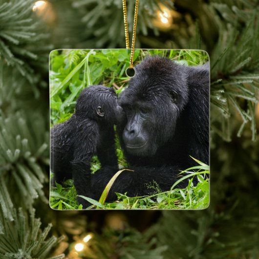 Baby Mountain Gorilla Kisses Silverback Gorilla Keramisch Ornament (Boom)
