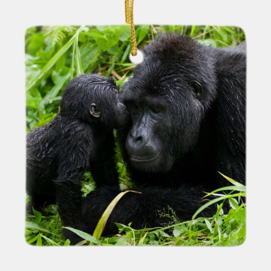 Baby Mountain Gorilla Kisses Silverback Gorilla Keramisch Ornament (Voorkant)