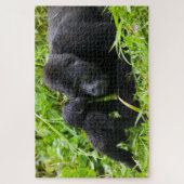 Baby Mountain Gorilla Kisses Silverback Gorilla Legpuzzel (Verticaal)