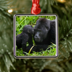 Baby Mountain Gorilla Kisses Silverback Gorilla Metalen Ornament