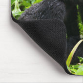 Baby Mountain Gorilla Kisses Silverback Gorilla Muismat (Hoek)