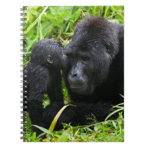 Baby Mountain Gorilla Kisses Silverback Gorilla Notitieboek