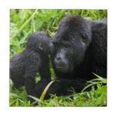 Baby Mountain Gorilla Kisses Silverback Gorilla Tegeltje (Voorkant)