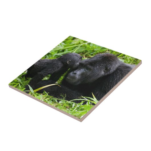 Baby Mountain Gorilla Kisses Silverback Gorilla Tegeltje (Zijkant)