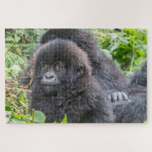 Baby Mountain Gorilla Legpuzzel