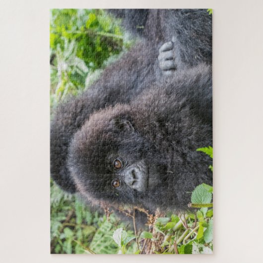 Baby Mountain Gorilla Legpuzzel (Verticaal)