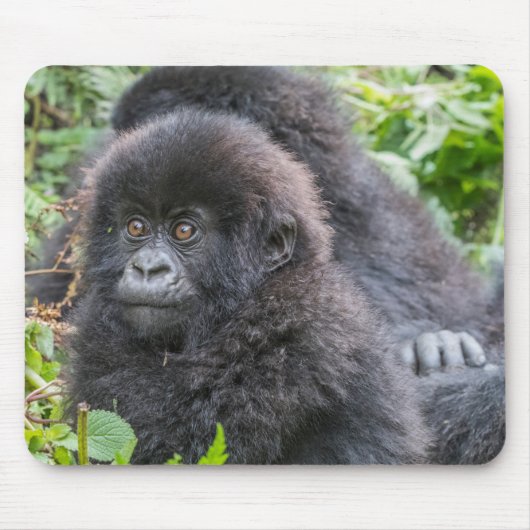 Baby Mountain Gorilla Muismat (Voorkant)