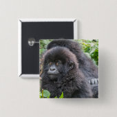 Baby Mountain Gorilla Vierkante Button 5,1 Cm (Voorkant /achterkant)