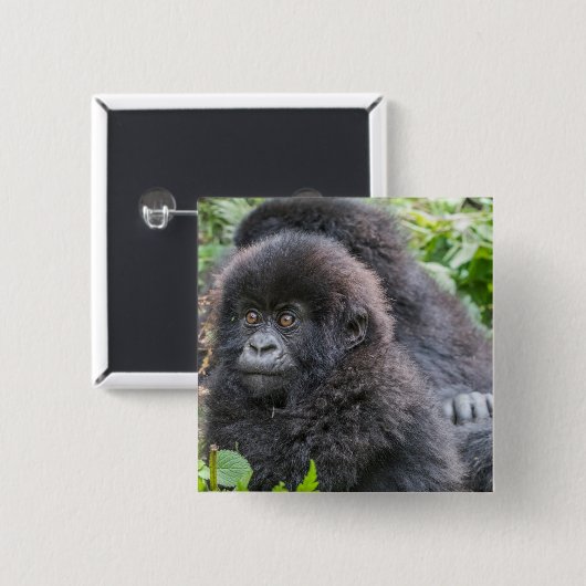 Baby Mountain Gorilla Vierkante Button 5,1 Cm (Voorkant /achterkant)