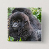 Baby Mountain Gorilla Vierkante Button 5,1 Cm (Voorkant)