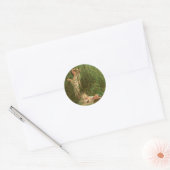 Baby Mozes en de Nijl Ronde Sticker (Envelop)