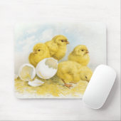  Baby Muismat (Met muis)