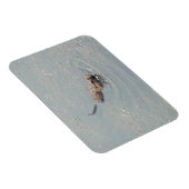 Baby Muskrat Flexibele fotomagneet Magneet (Rechterzijde)