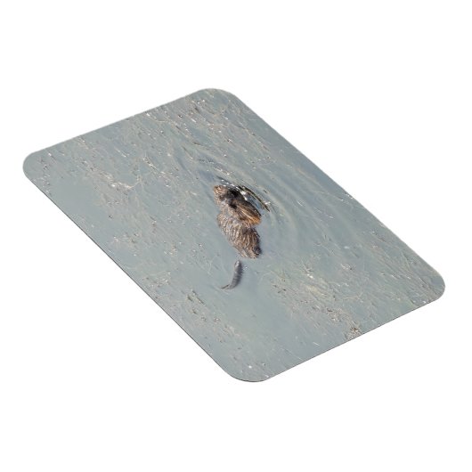 Baby Muskrat Flexibele fotomagneet Magneet (Rechterzijde)