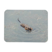 Baby Muskrat Flexibele fotomagneet Magneet (Horizontaal)